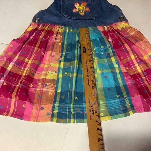 Vtg Girl's Dress Jumper Looney Tunes Tweety Bird Denim Jean Plaid Floral Sz 12 - Picture 6 of 8